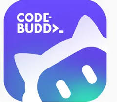 CodeBuddy